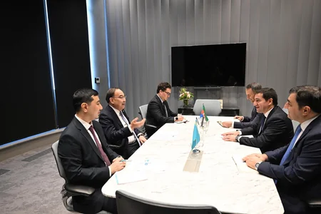 Представители стран ОТГ обсудили в Алматы инициативы в рамках COP29