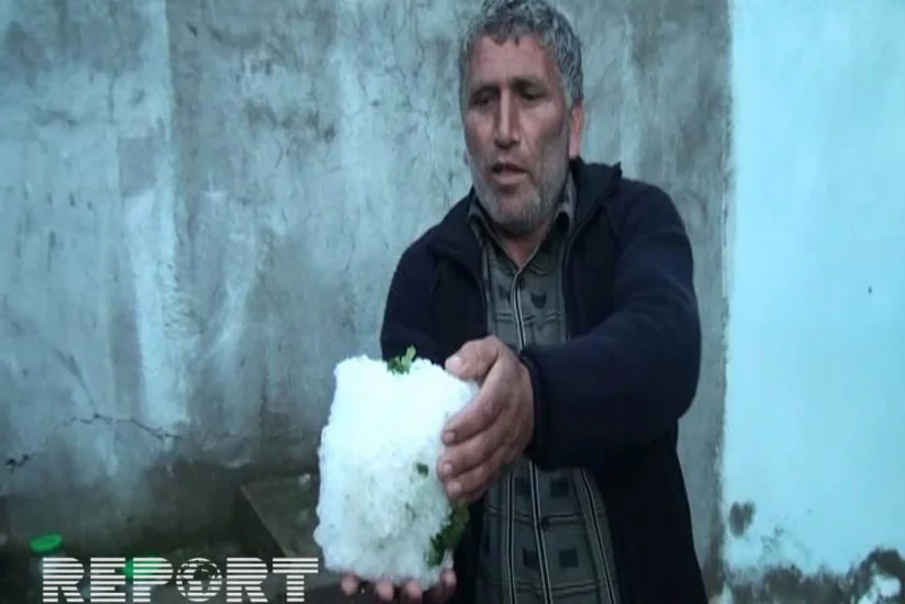 Tovuzda 500 hektardan çox kartof sahəsi və meyvə bağları məhv olub - FOTO