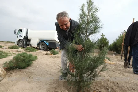 Представители дипкорпуса посадили деревья в Тертере