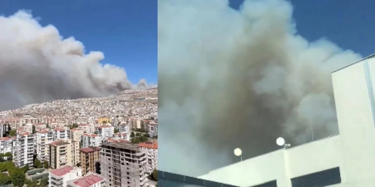 Smoke engulfs Izmir as wildfire rages
