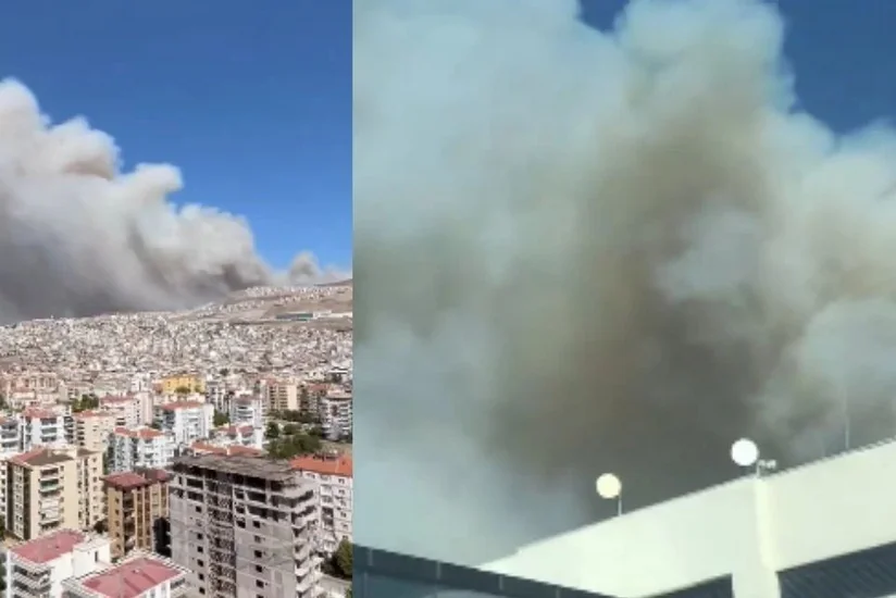 İzmirdə meşə yanğını nəticəsində 30 ev yanıb - YENİLƏNİB