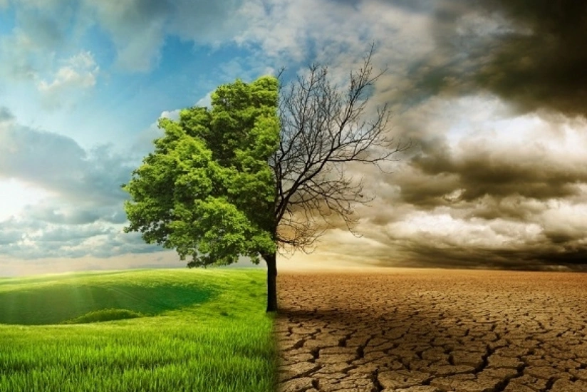 İqlim dəyişmələrinin doğurduğu fəsadlara qarşı mübarizədə elmin üzərinə mühüm vəzifələr düşür - MÜTƏXƏSSİS RƏYLƏRİ