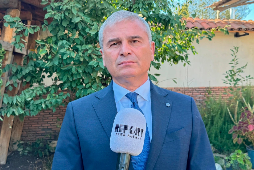 Грузинский депутат: Некоторые западные государства грубо нарушают наши суверенные права