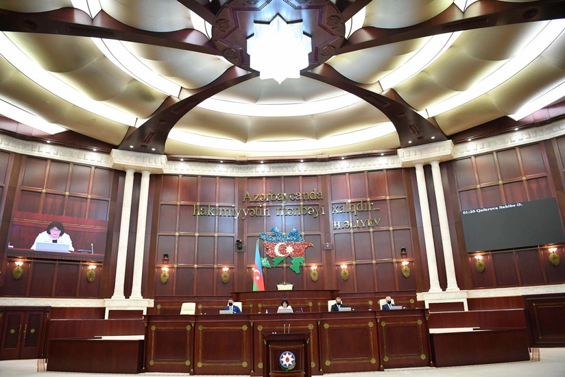 Sahibə Qafarova əmanətlərin sığortalanması ilə bağlı müzakirənin keçirilməsini təklif edib