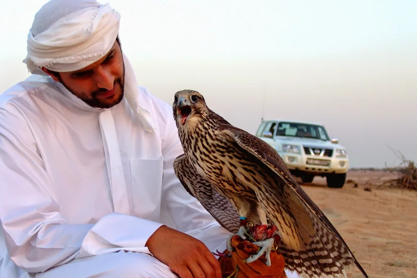 Минэкологии Азербайджана о сумме штрафа в отношении арабских туристов