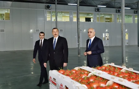 Prezident İlham Əliyev Zirə qəsəbəsində “BAKU AGROPARK”da görülən işlərlə tanış olub