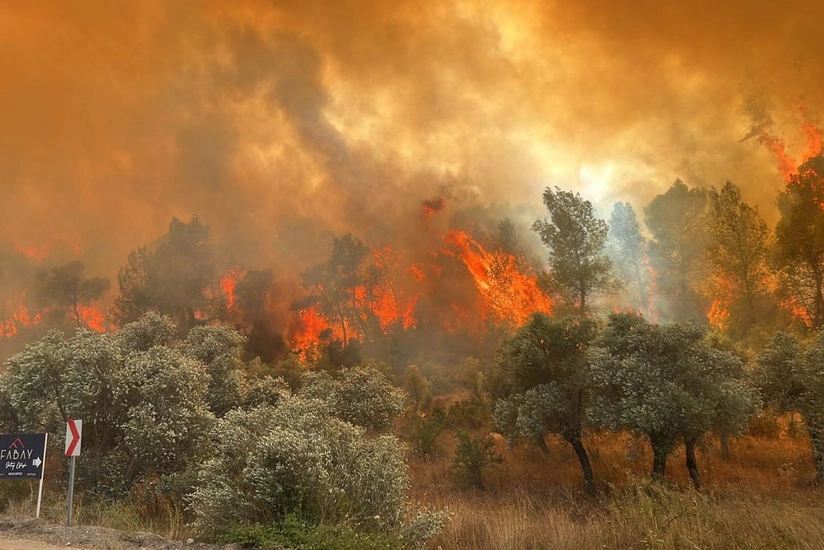 Forest fire in Canakkale, Türkiye is under control, says minister