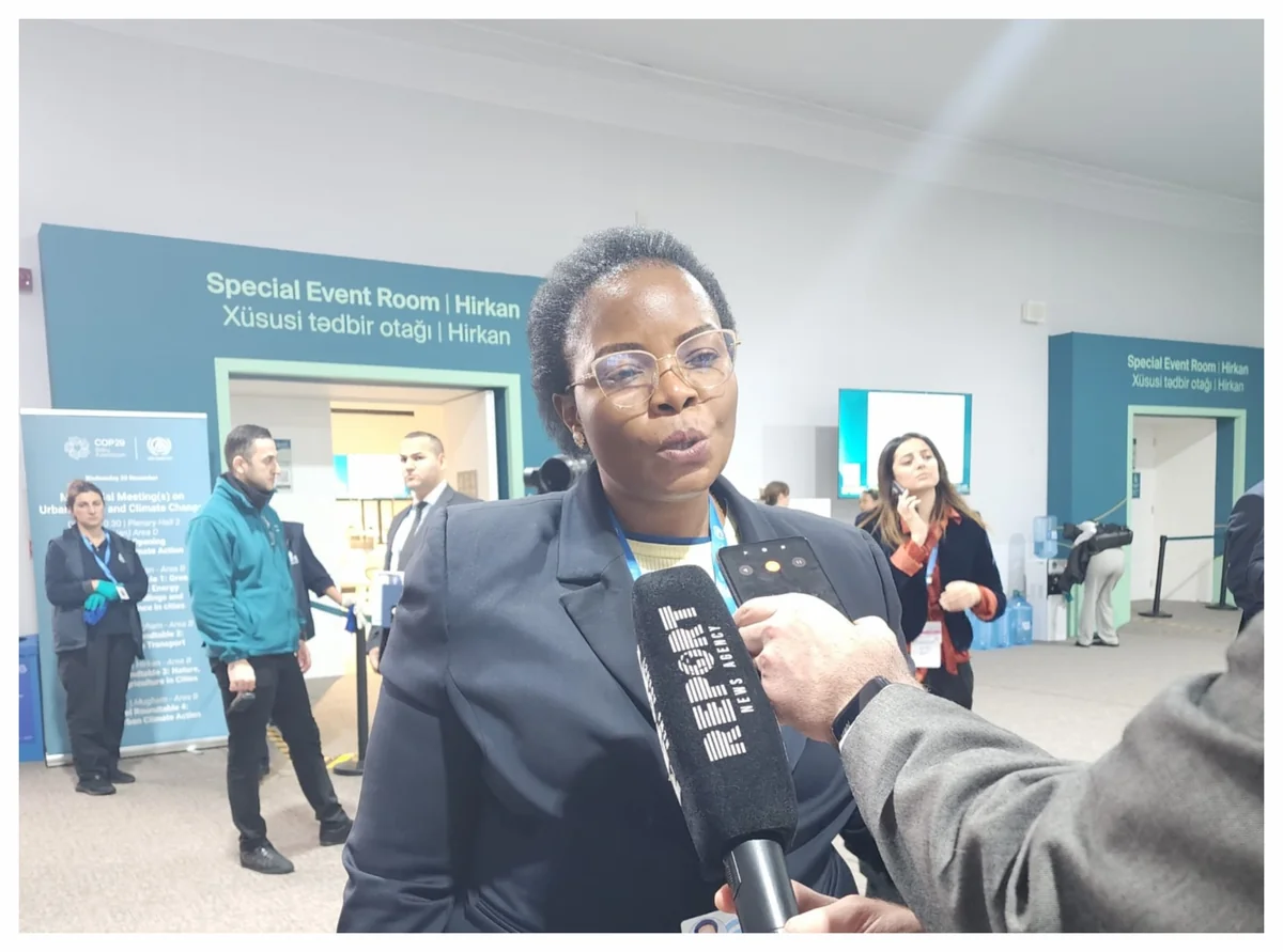 Uganda minister: Developing countries need more climate financing