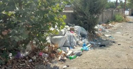 Cəlilabadda ətrafı məişət tullantıları ilə zibilləyən şəxslər müəyyən edilib