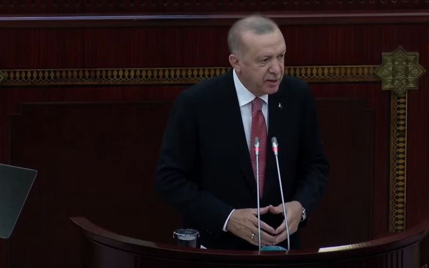 Erdogan: Turkey will take necessary steps as soon as Armenia solves problems with Azerbaijan