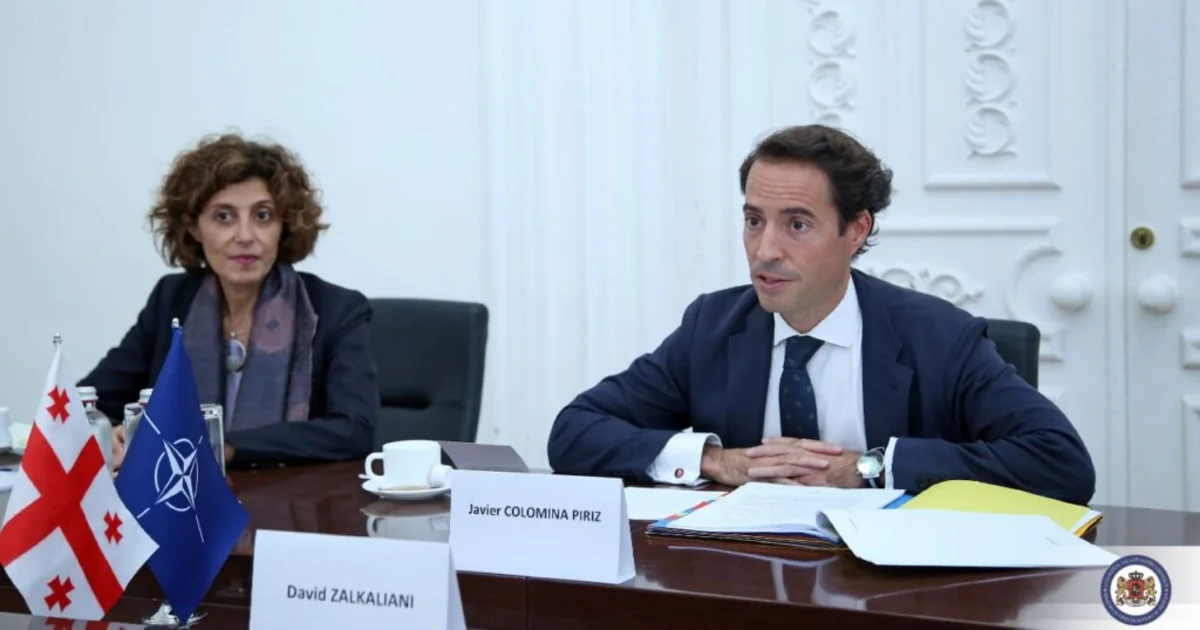 NATO-nun xüsusi nümayəndəsi: “Gürcüstan Azərbaycan-Ermənistan münasibətlərində vacib rol oynayır”