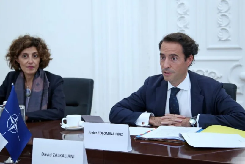 NATO-nun xüsusi nümayəndəsi: “Gürcüstan Azərbaycan-Ermənistan münasibətlərində vacib rol oynayır”