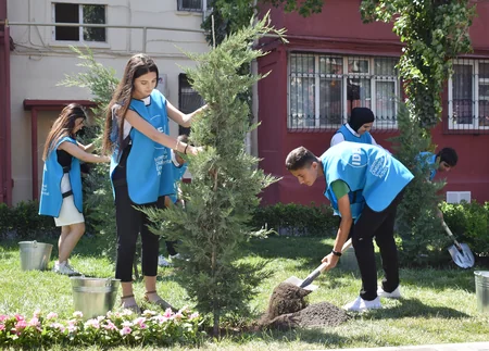 Bakıda daha bir həyət yenilənib