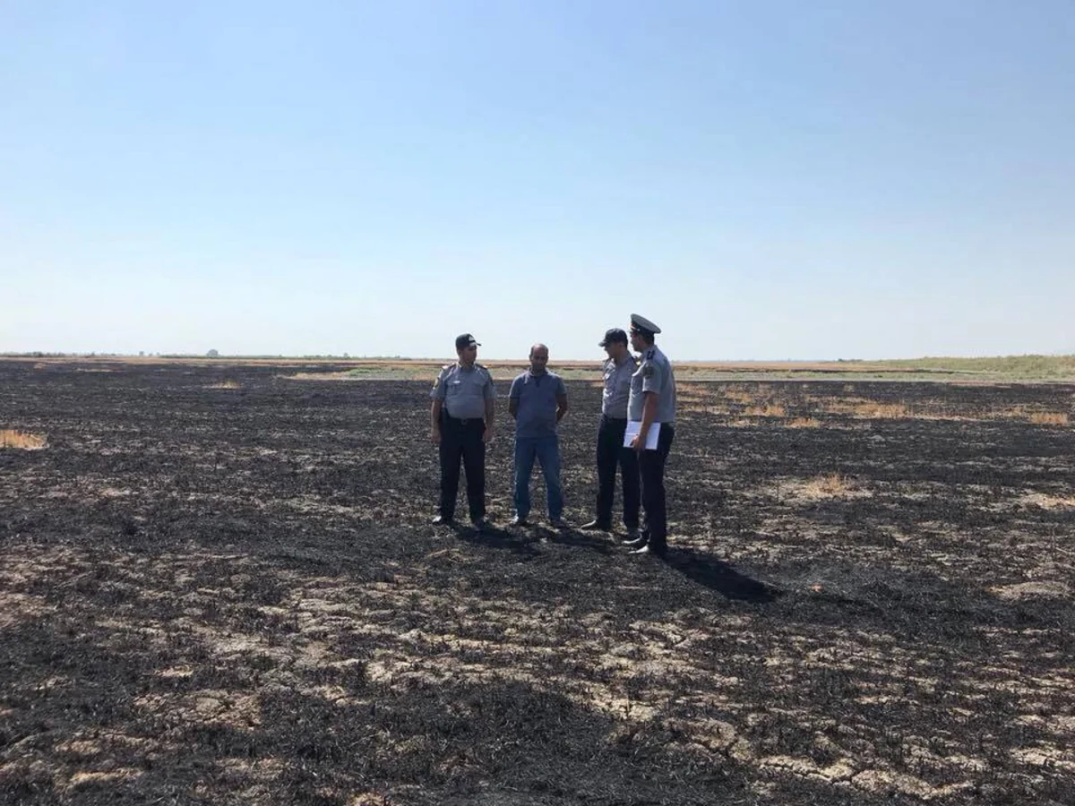 В Гёйчае задержан подозреваемый в умышленном поджоге пшеничного поля