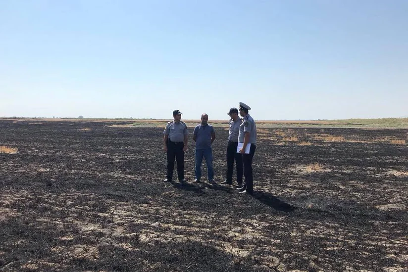 В Гёйчае задержан подозреваемый в умышленном поджоге пшеничного поля
