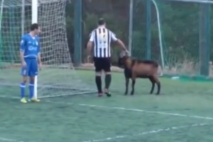 ​Футбольный матч пришлось дважды остановить из-за выбегающего на поле козла