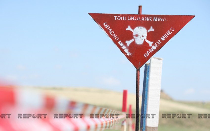 Azerbaijani MP: International organizations should not be indifferent to Armenia's mine terror