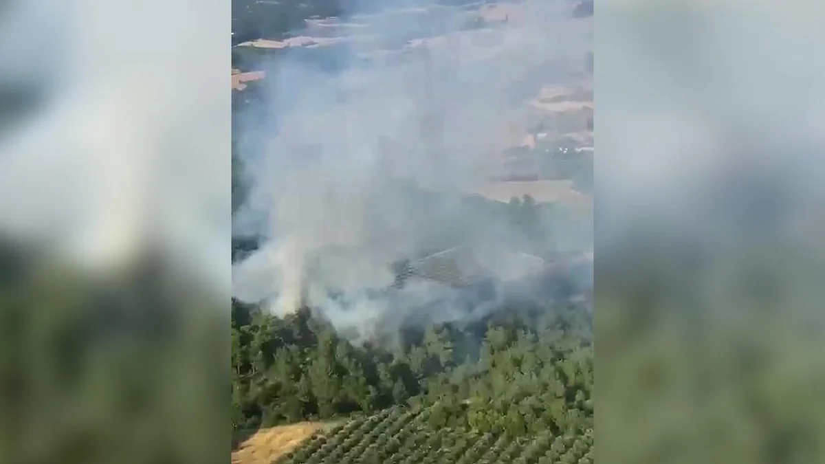 4 airplanes, 8 helicopters dispatched to put out fire in Türkiye's Manisa