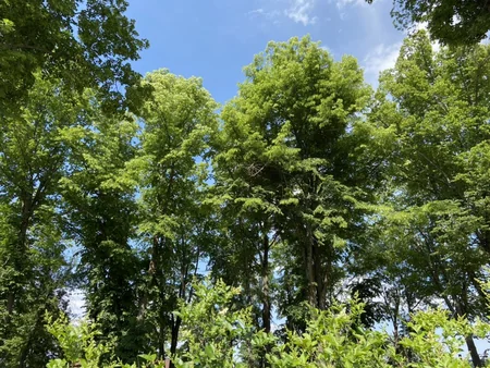 Посол Турции в Азербайджане побывал в Шуше