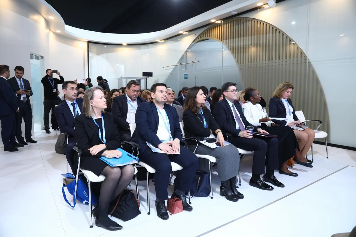 Azərbaycanda enerji subsidiyalarına 1 milyard dollaradək qənaət 3,5-4,2 % təbii qaza qənaət yaradır