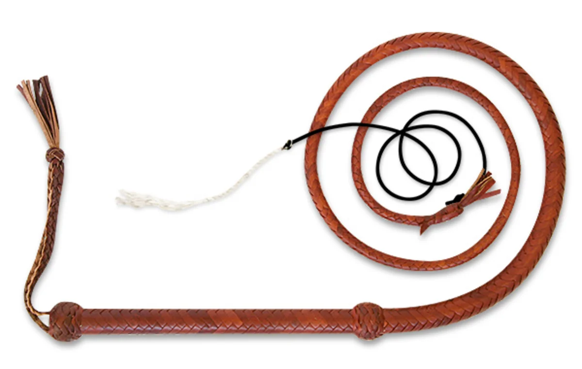 Whip export to Azerbaijan doubled