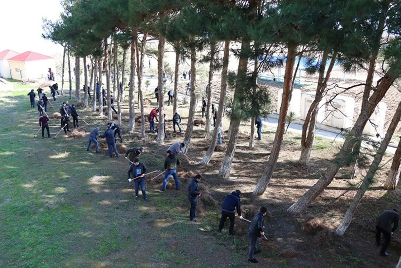 Dövlət təhlükəsizliyi orqanları əməkdaşlarının peşə bayramı ərəfəsində iməclik keçirilib