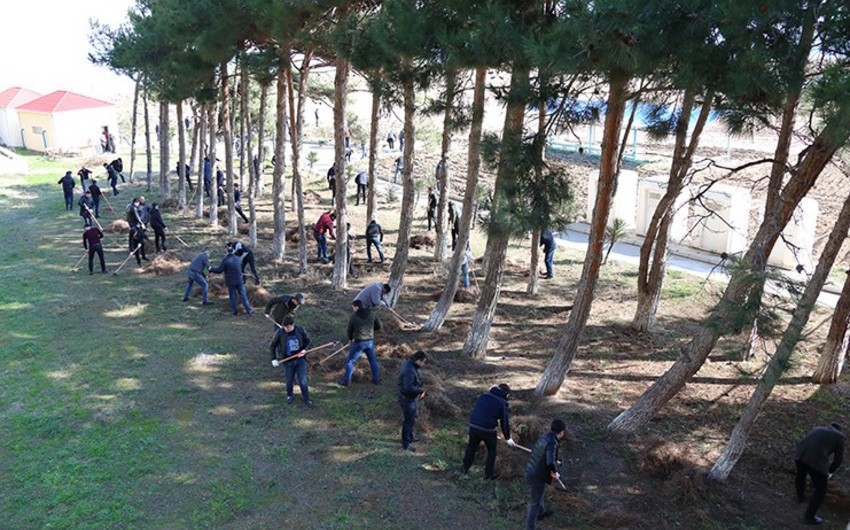 Dövlət təhlükəsizliyi orqanları əməkdaşlarının peşə bayramı ərəfəsində iməclik keçirilib