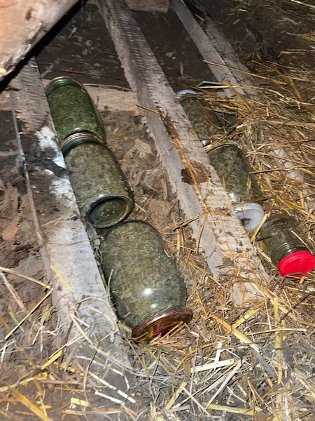 Narkotiki it damında gizlədən şəxs saxlanılıb