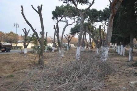 BŞİH: Atatürk parkında əsaslı təmir-yenidənqurma işləri aparılır