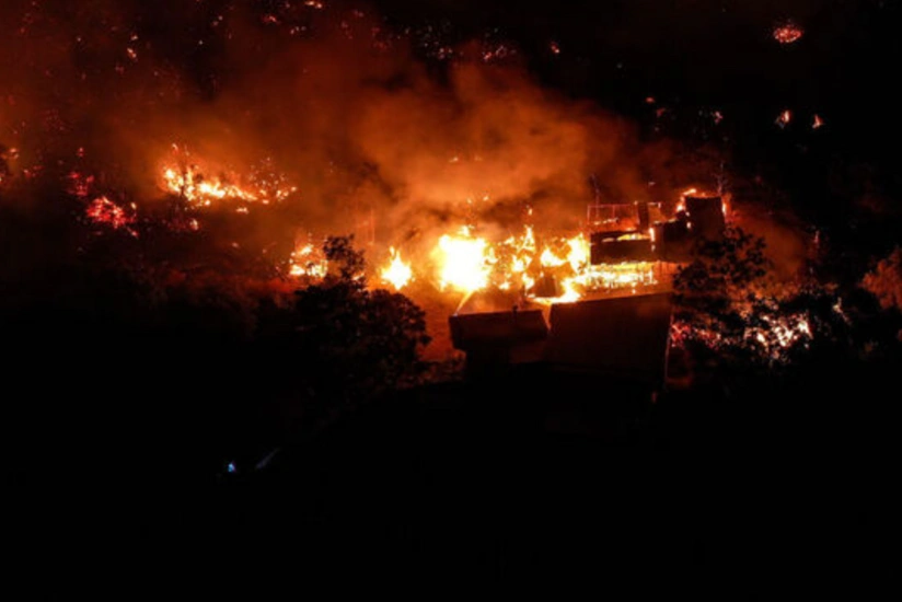 В турецкой провинции Бурса распространились лесные пожары