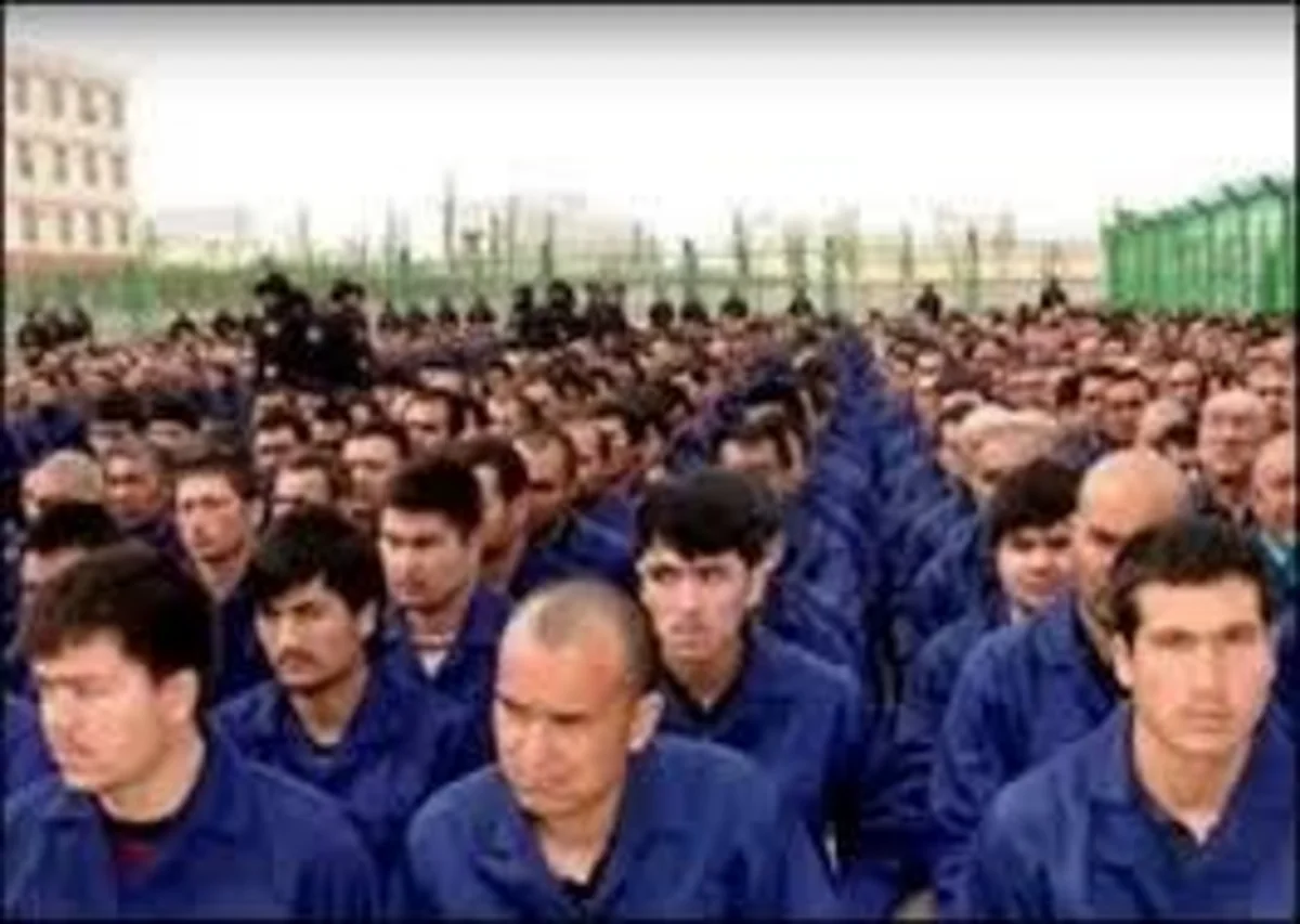 Almaniya Çindən uyğur məsələsində şəffaf olmağı tələb edib