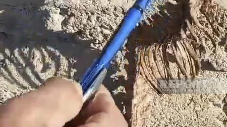 Tərtərdə tapılan naməlum heyvan skeletinə baxış keçirilib - YENİLƏNİB