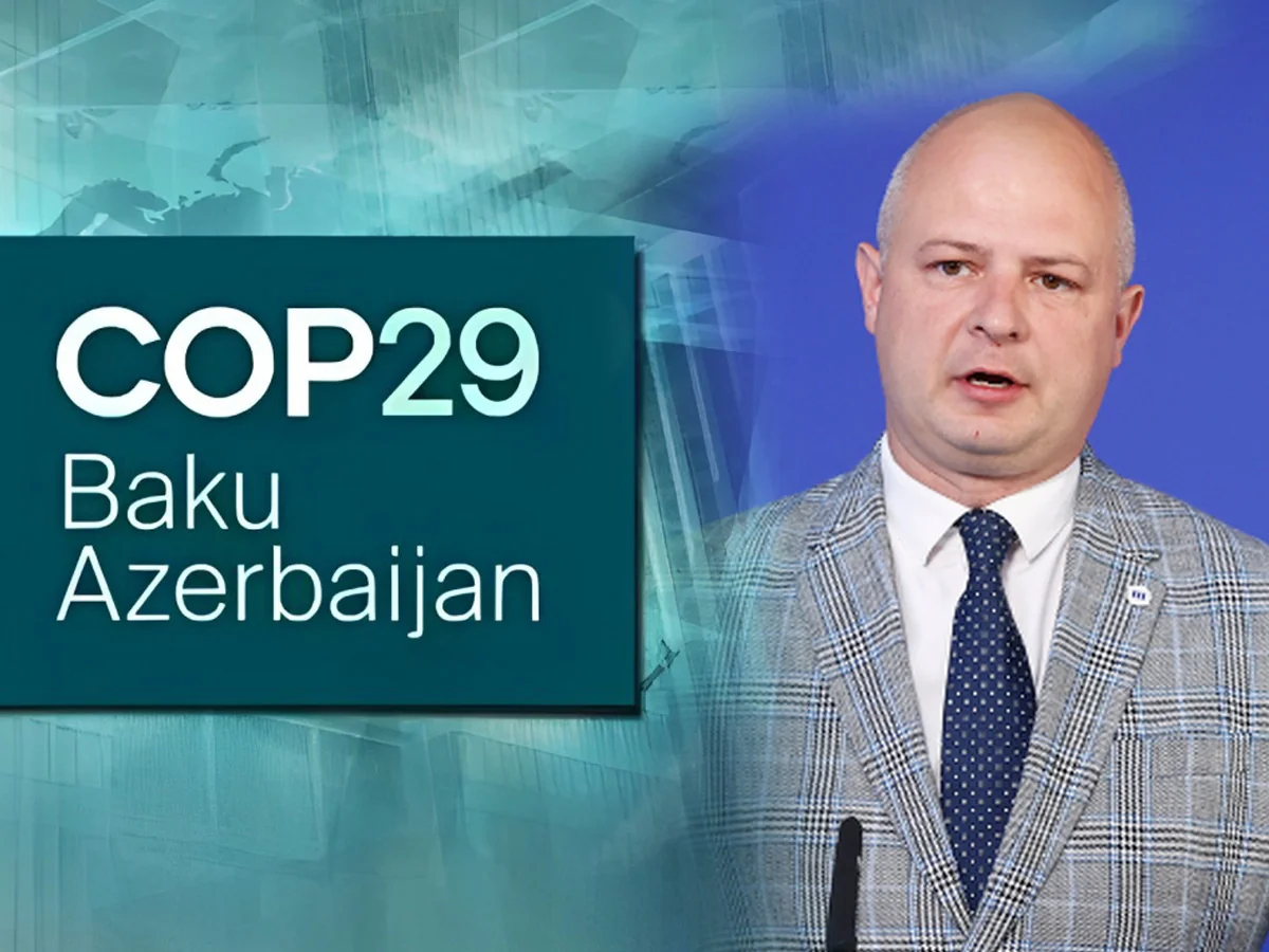 Litvalı nazir: NCQG realistik olmalı və hər bir ölkədə təsirlərin azaldılmasına yönəlməlidir