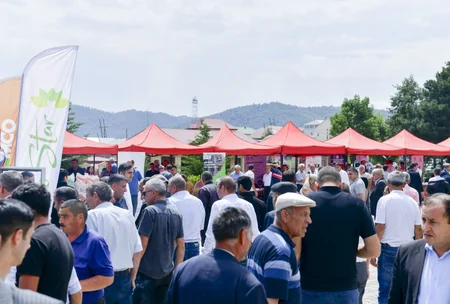 Gədəbəydə Aqrar Biznes Festivalı keçirilib