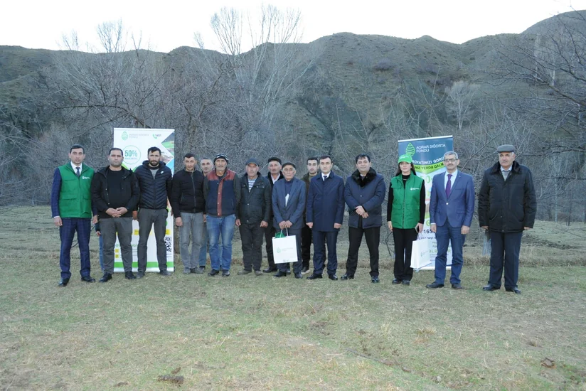 Cənub bölgəsindəki fermerlərə 40 min manatdan çox sığorta ödənişi verilib