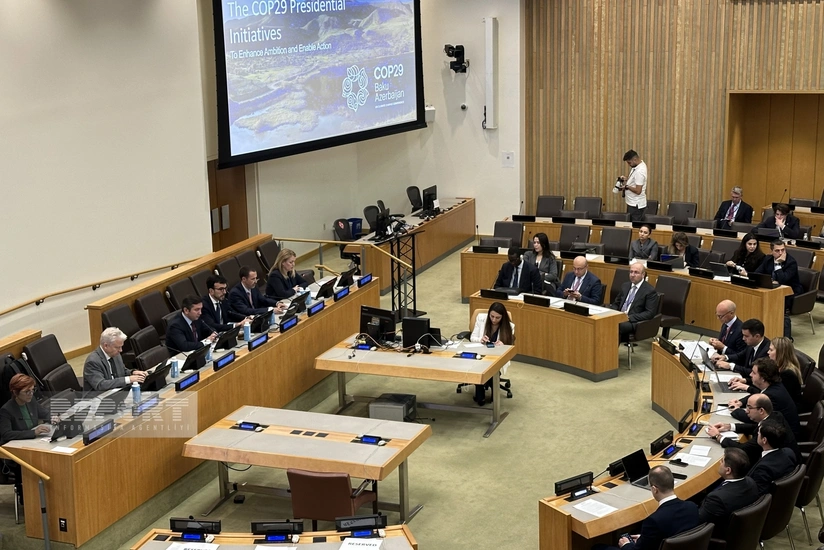 BMT-də COP29 çərçivəsində qlobal təşəbbüslərlə bağlı yüksək səviyyəli tədbir keçirilib