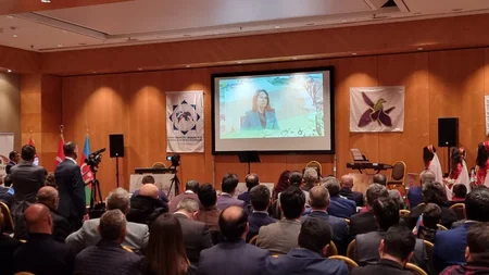 Vyanada Zəfər Günü təntənə ilə qeyd edilib