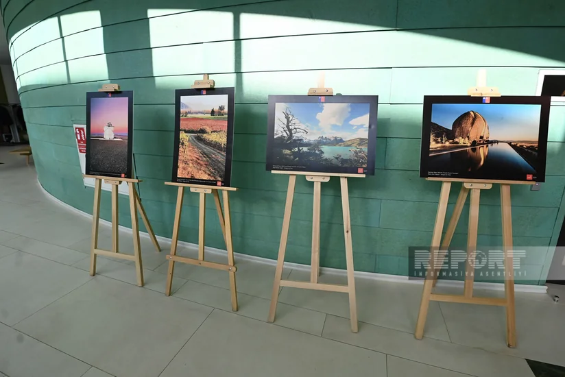 Bakıda Çiliyə həsr olunmuş fotosərginin açılışı olub