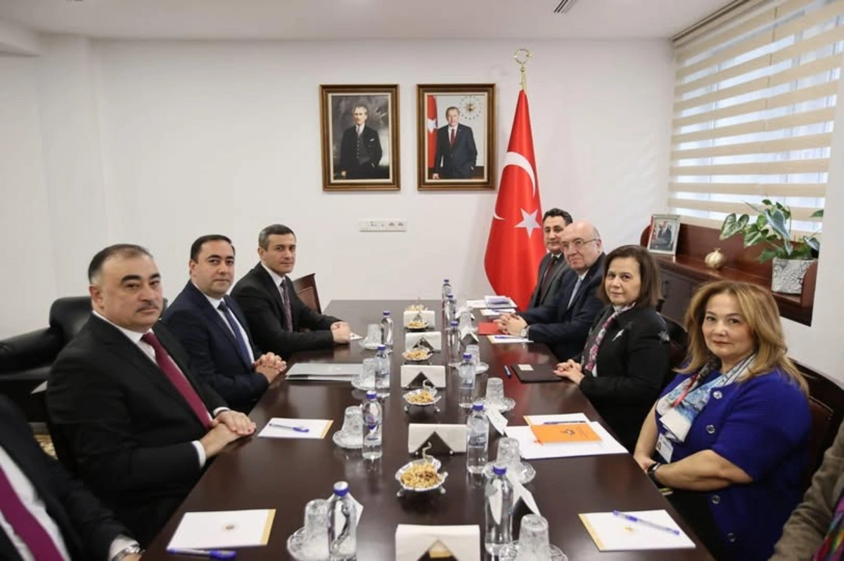 Turkish, Azerbaijani diplomats discuss regional issues