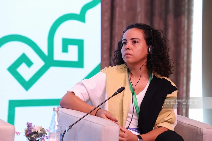 Braziliya rəsmisi: Azərbaycan halal turizm sahəsində böyük potensiala malikdir