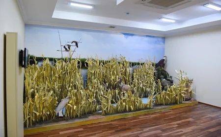 President Ilham Aliyev opens Aghjabadi Museum of History and Local Lore