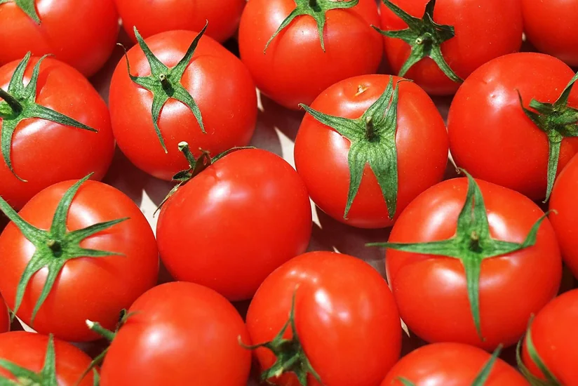 Россия увеличила квоту Турции на поставки томатов