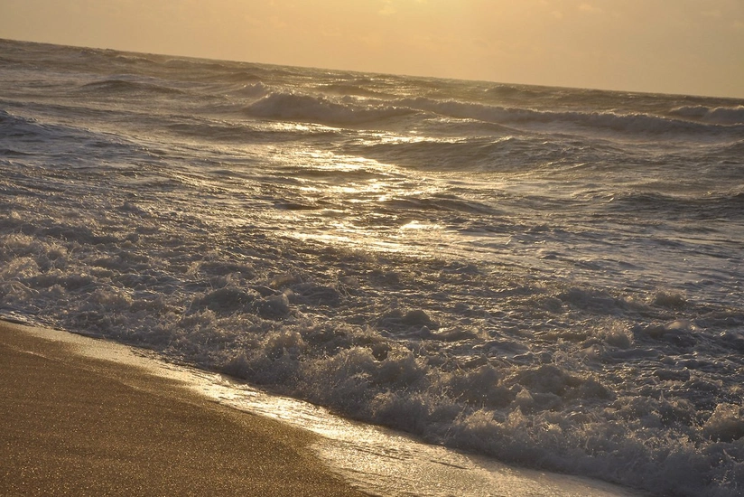 Corpse found in Neftchala region of the Caspian Sea identified