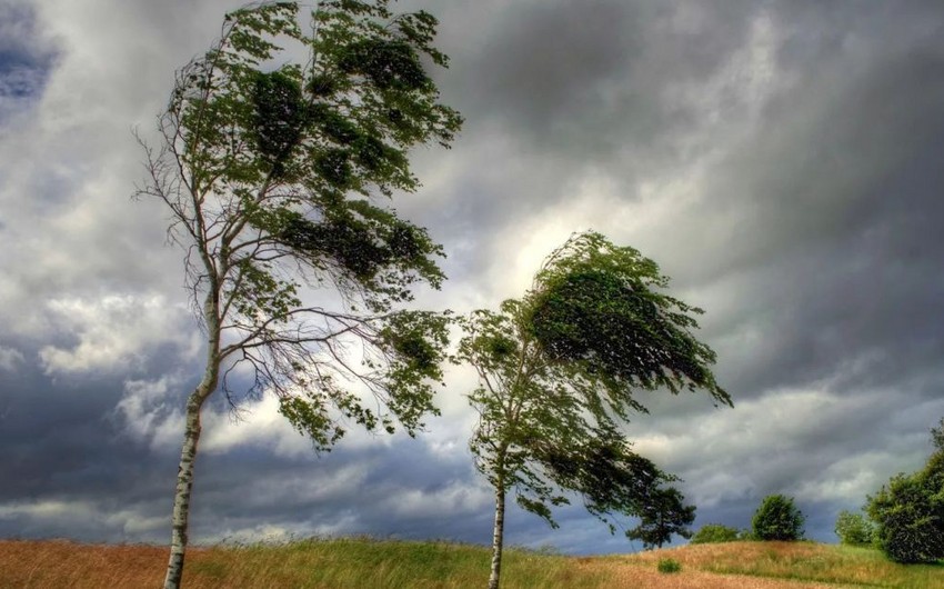 Actual weather condition in Azerbaijan announced