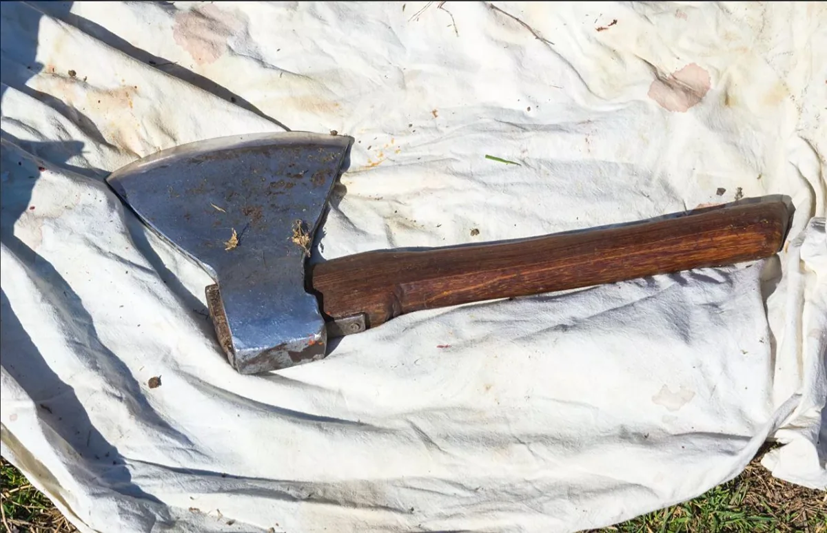 В России учительница пришла к второклассникам с топором