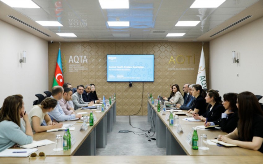 Azerbaijani agency, WHO mull elimination of foot-and-mouth disease
