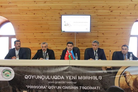 Azərbaycanda “Pirəsora” qoyun cinsinin patentinin təqdimatı keçirilib