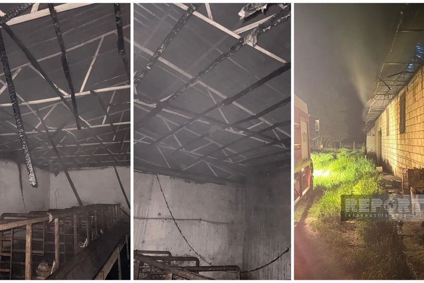 Oğuzda fermada 200 cücə yanıb