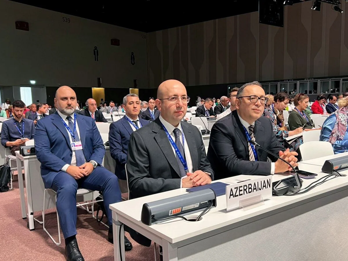 Anar Quliyev COP28 konfransı çərçivəsində keçirilən Nazirlər Toplantısında iştirak edib