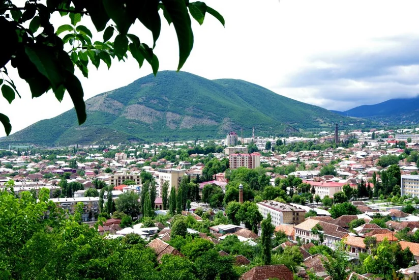 Şəkidə gənclər üçün treninq təşkil olunub